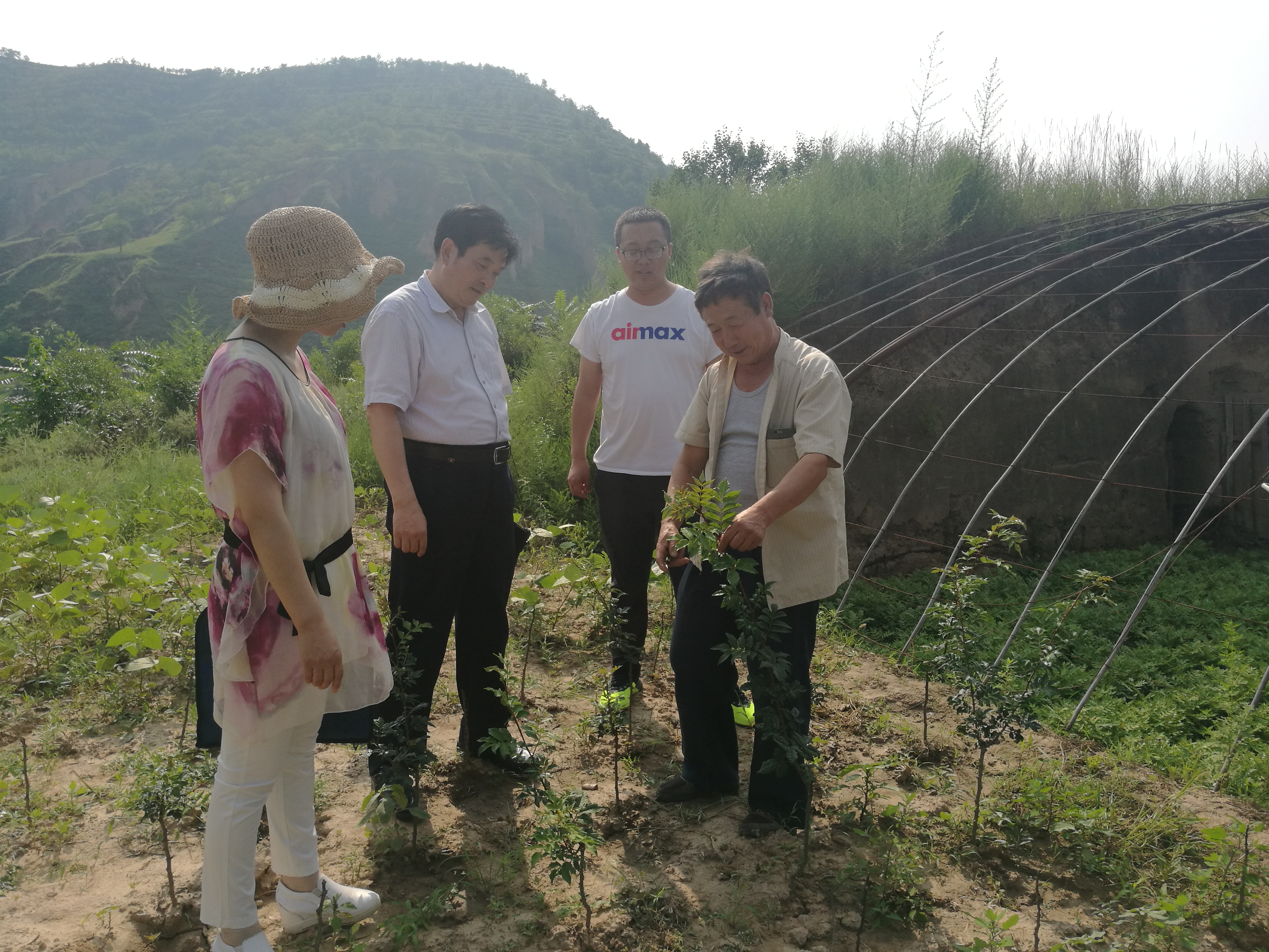 国外无刺花椒新品种引进培育.jpg 国外无刺花椒新品种引进培育.jpg